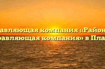 Управляющая компания «Районная управляющая компания» в Пласте