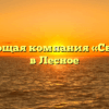 Управляющая компания «Светлячок» в Лесное