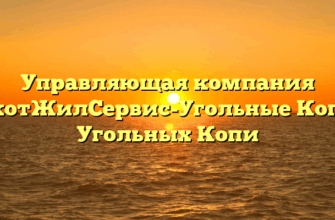 Управляющая компания «ЧукотЖилСервис-Угольные Копи» в Угольных Копи
