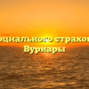 Фонд социального страхования — Вурнары