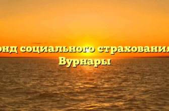 Фонд социального страхования — Вурнары
