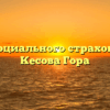 Фонд социального страхования — Кесова Гора