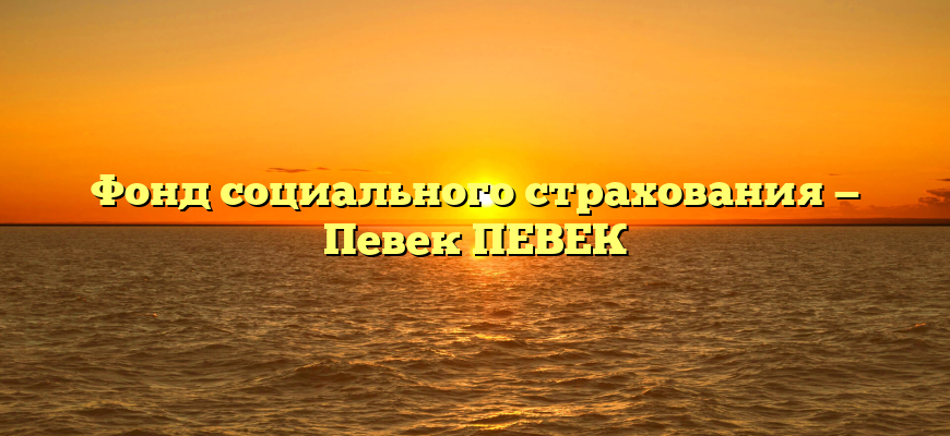 Фонд социального страхования — Певек ПЕВЕК