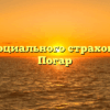 Фонд социального страхования — Погар