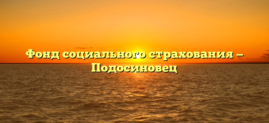 Фонд социального страхования — Подосиновец